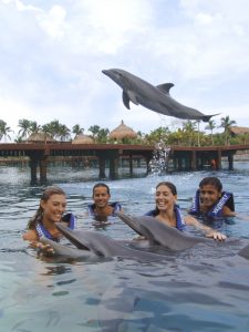 The 60-minute Delphinus Primax Experience at Xcaret Park in Playa del Carmen 