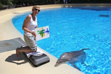 painting with dolphins