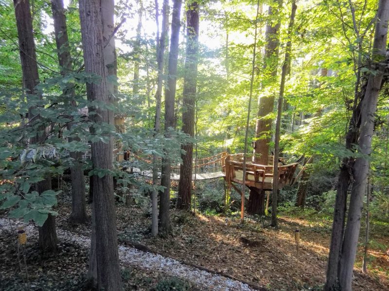 treehouse airbnb, Old Man